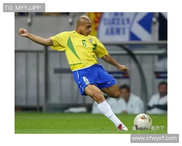 绿茵巨星风云录全面展现世界足球传奇人物