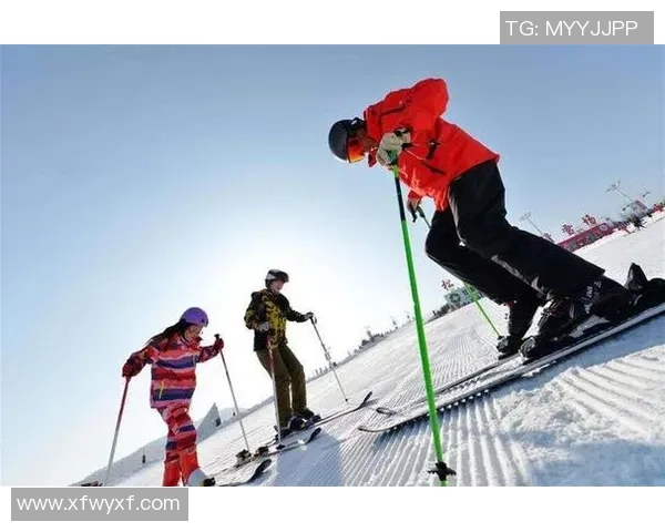 超新星球星卡助力足球队打造未来之星提升竞技水平